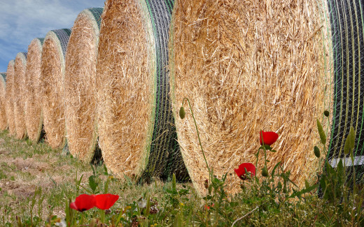 �1760664 �������(a): ����������:3200x1999